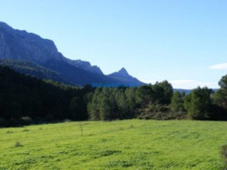 Fotos Noticias 2011